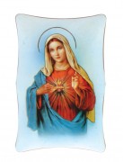 1269 Series Plastic Plaque - SHM