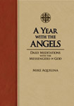 Book: A Year with the Angels