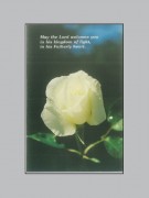 Memorial Cards: White Rose