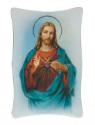 1269 Series Plastic Plaque - SHJ