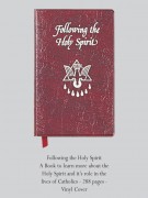 Book: Following the Holy Spirit