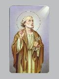 Holy Card: St Peter Apostle (Pk100)