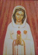 10 x 8 Print: Rosa Mystica