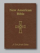 Bible: Giant Type NAB (Brown)